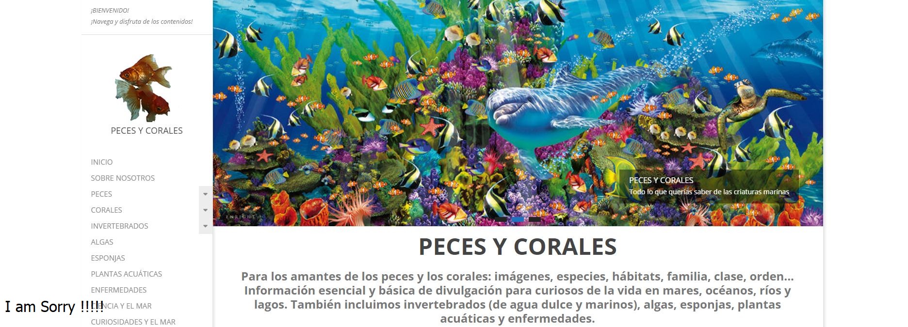 imagen de la página de inicio de Peces y Corales.