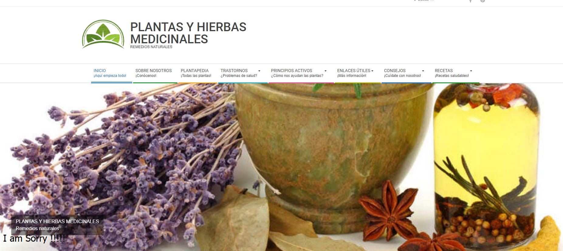 imagen de la página de inicio de Plantas y Hierbas Medicinales.