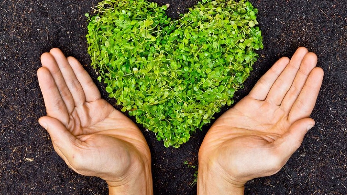 comportamiento ambiental