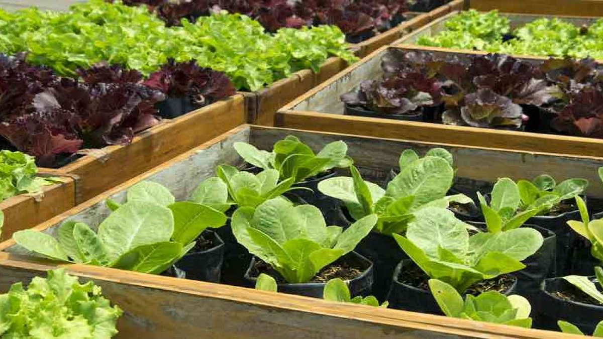 comportamiento ambiental