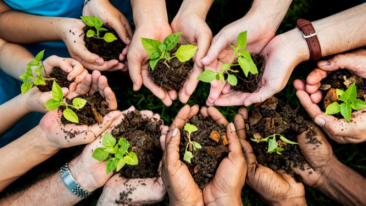 comportamiento ambiental