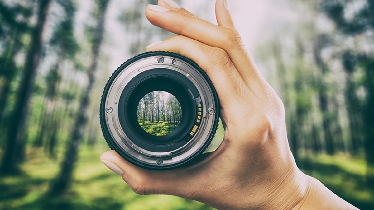 pérdida de visión periférica: imagen de una lente que enfoca correctamente una parte de un bosque