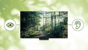 televisores accesibles: imagen de un televisor accesible