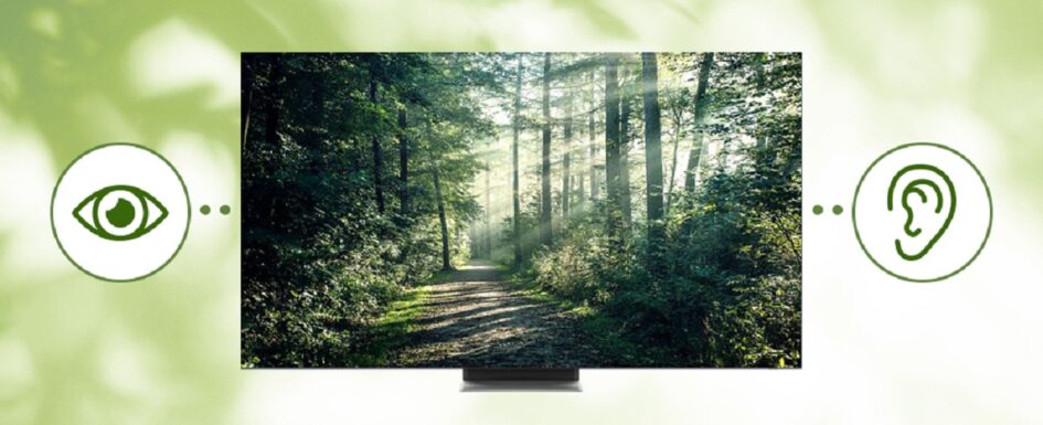 televisores accesibles: imagen de un televisor accesible